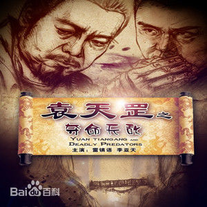 最新刘子菲(cola)壁纸