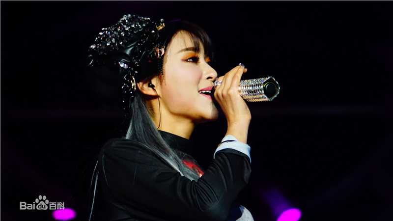 邵星颖演唱会照片图册