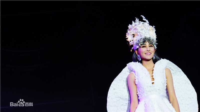 邵星颖演唱会照片图册