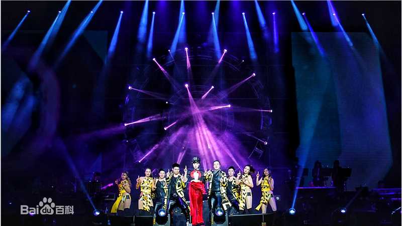 邵星颖演唱会照片图册