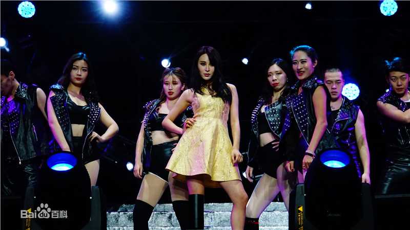 邵星颖演唱会照片图册