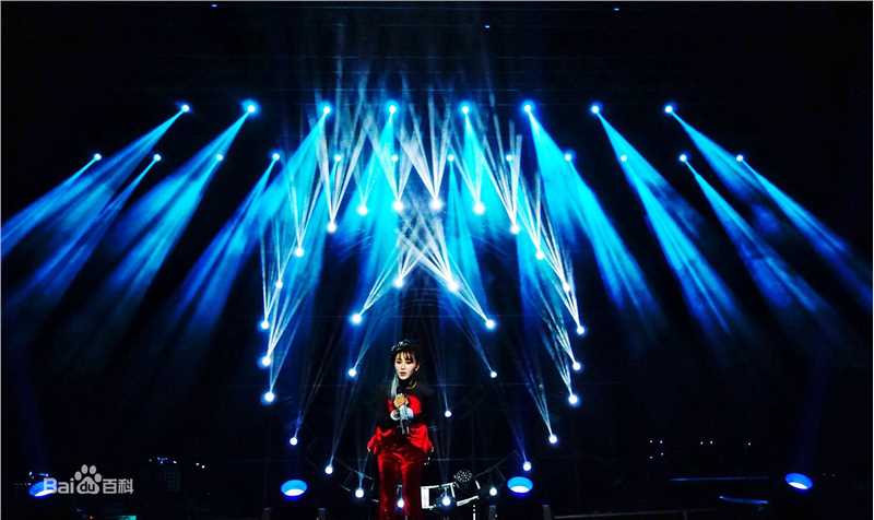 邵星颖演唱会照片图册