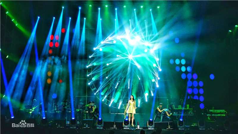 邵星颖演唱会照片图册