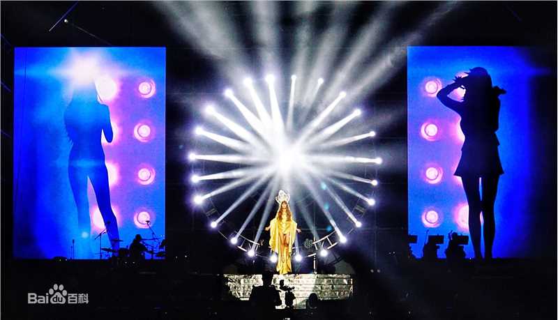 邵星颖演唱会照片图册