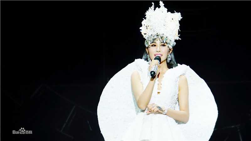 邵星颖演唱会照片图册