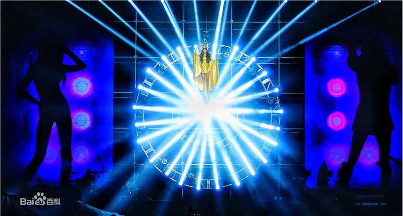 邵星颖演唱会照片图册