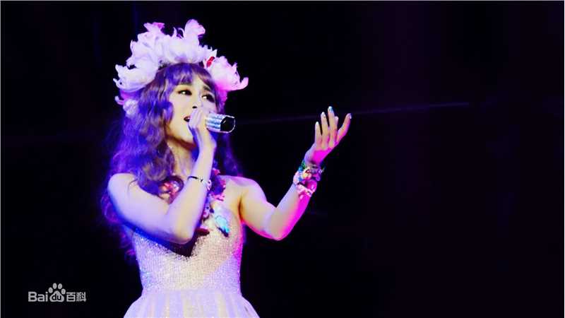 邵星颖演唱会照片图册