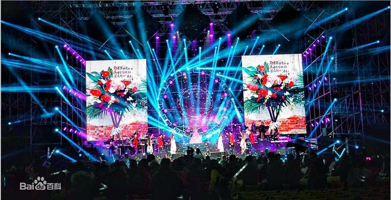 邵星颖演唱会照片图册