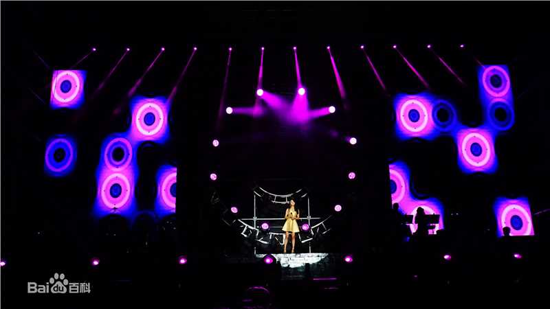 邵星颖演唱会照片图册