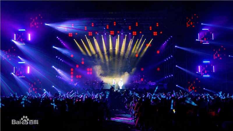 邵星颖演唱会照片图册