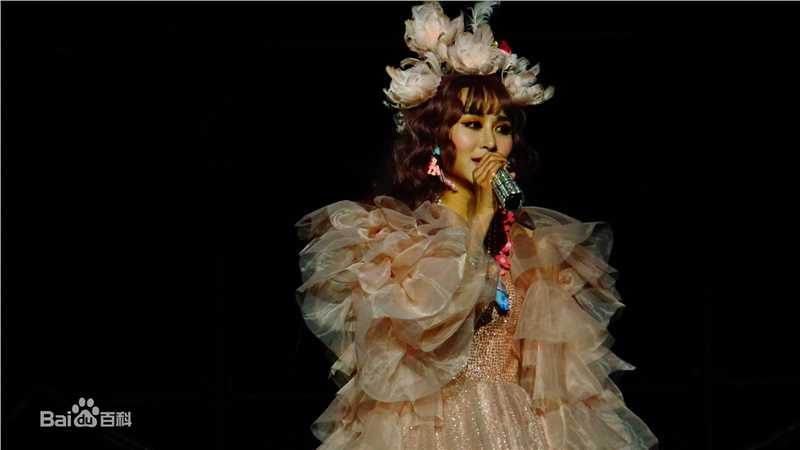 邵星颖演唱会照片图册