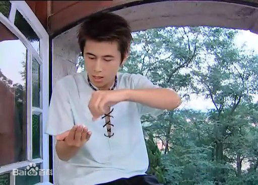 严昆魔术奇缘饰演刘晨图册