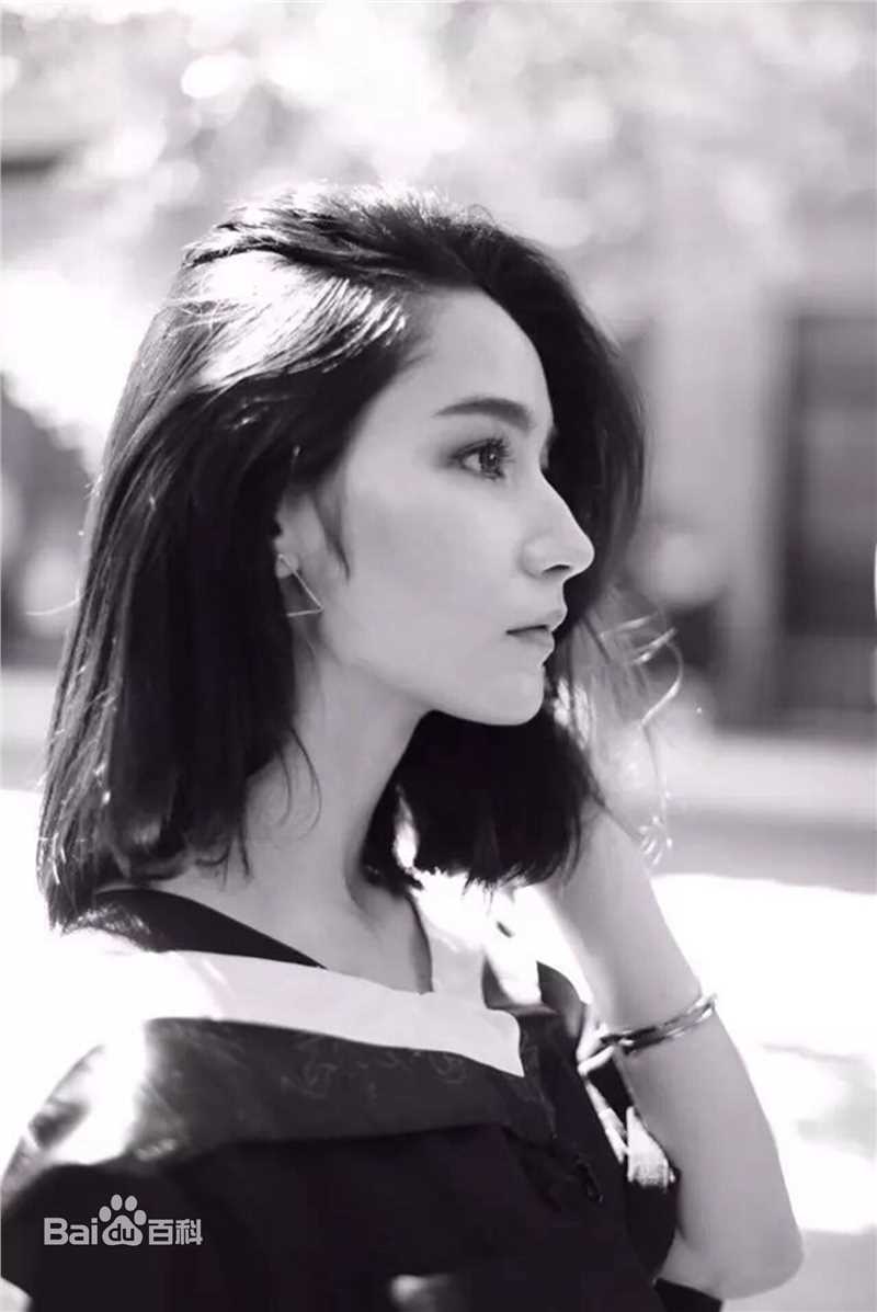 代斯(daisy)精选图册