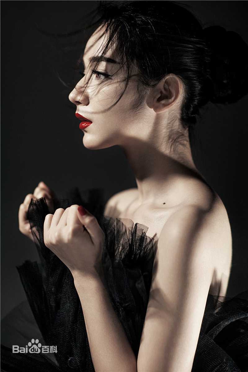 代斯(daisy)精选图册