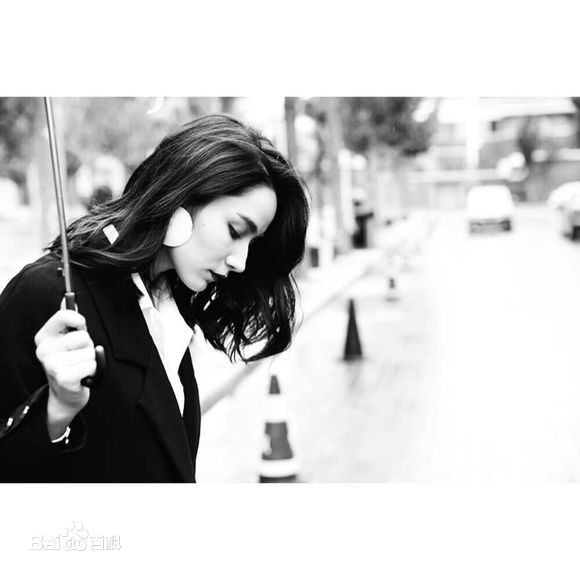 代斯(daisy)精选图册