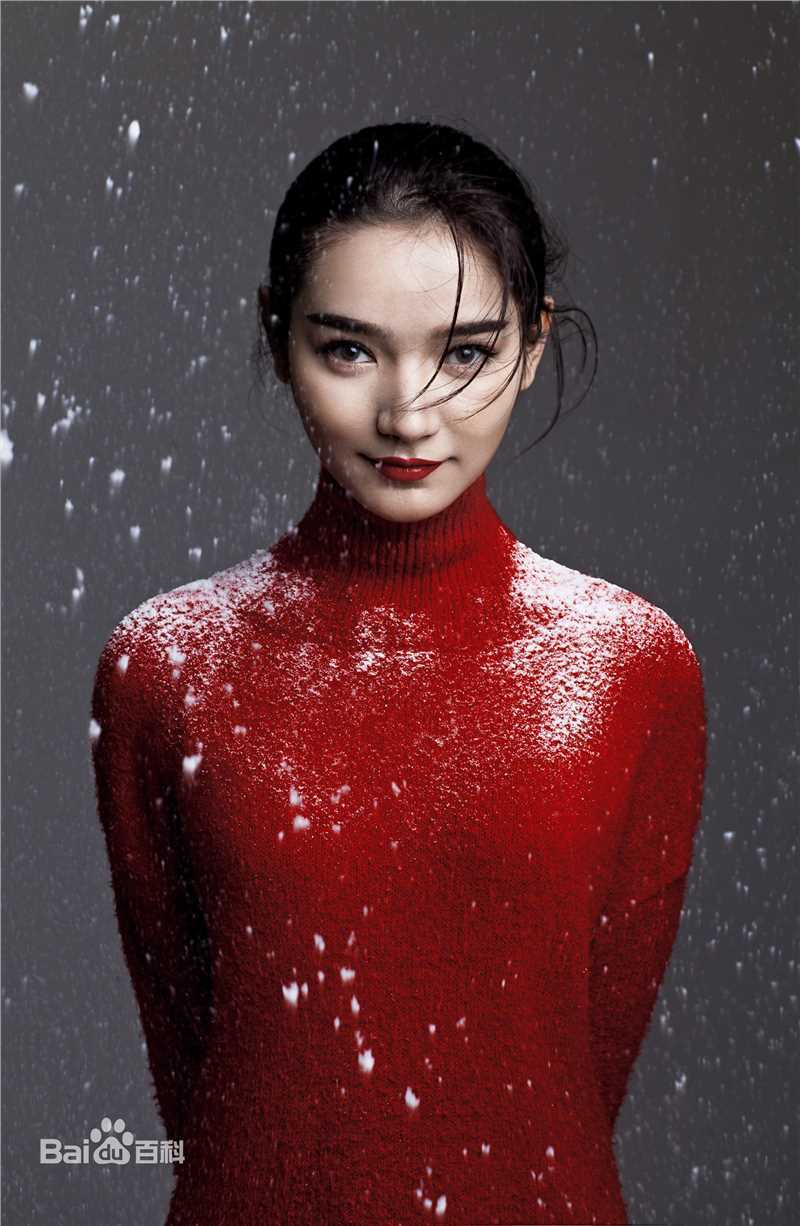 代斯(daisy)精选图册