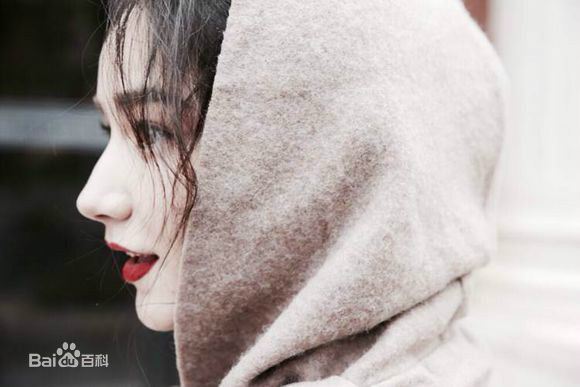 代斯(daisy)精选图册