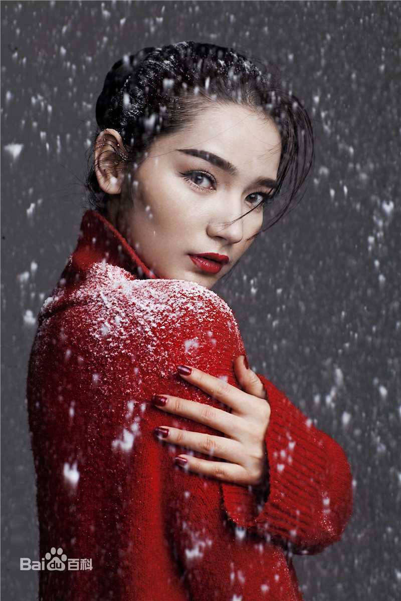 代斯(daisy)精选图册