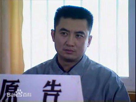 最全洪卫在电视剧《无罪辩护》赵达宏中的壁纸