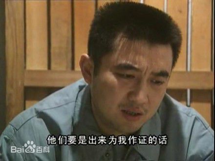 最全洪卫在电视剧《无罪辩护》赵达宏中的壁纸