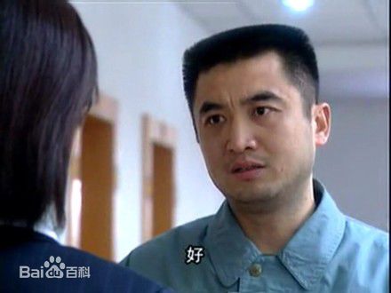 最全洪卫在电视剧《无罪辩护》赵达宏中的壁纸