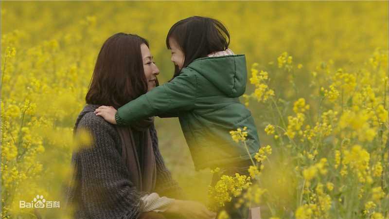 芦田爱菜(あしだ まな)2010~2011相关图片图片图集