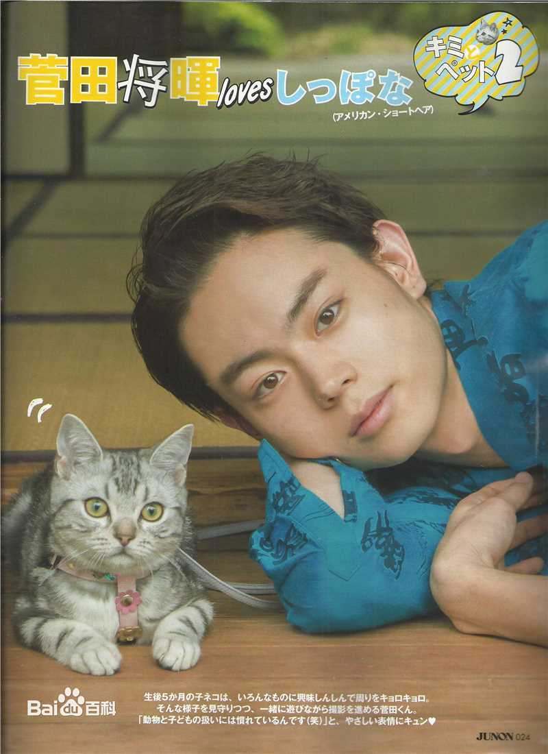 菅田将晖(すだ まさき 、Suda Masaki)杂志海报