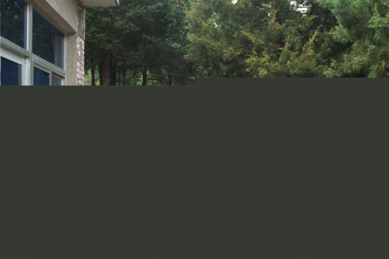 陈中宇导演和朋友壁纸壁纸