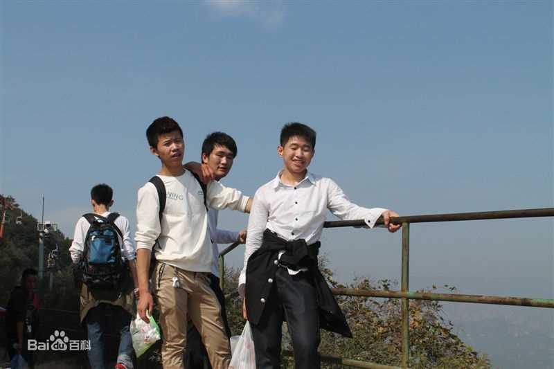 陈中宇导演和朋友壁纸壁纸