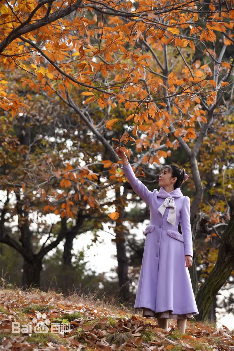 李蓓蕾《我的老爸是卧底》精选剧照