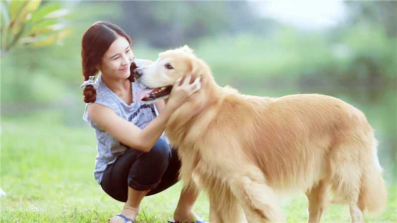 李海娜( 、Sushar Manaying)在《浪漫满屋》Aom中的