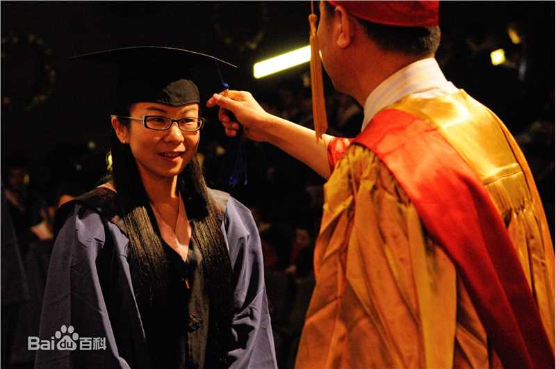 陈静工作照片图册