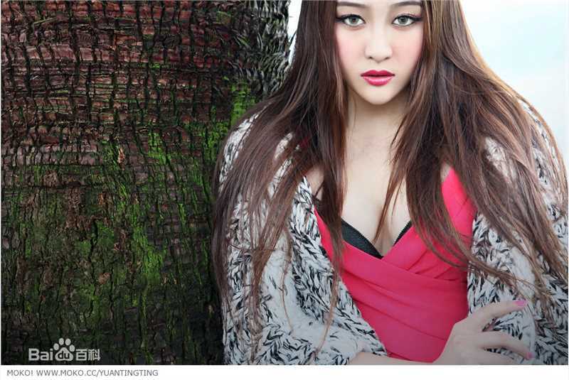 袁婷婷(tingting)-发布展示生活照