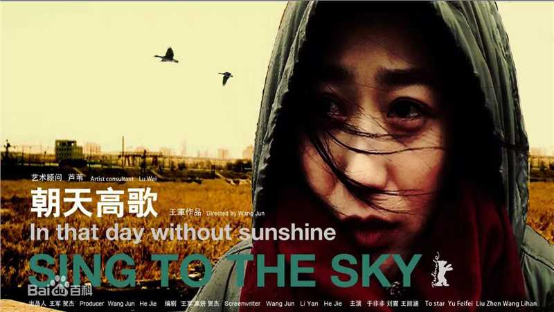 王军电影精选海报图册