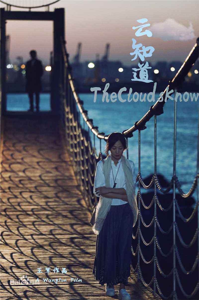 王军作品最优质海报合集相册