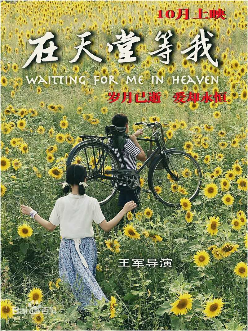 王军作品最优质海报合集相册