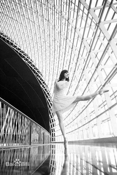 陆妍淇精选芭蕾.2011图册