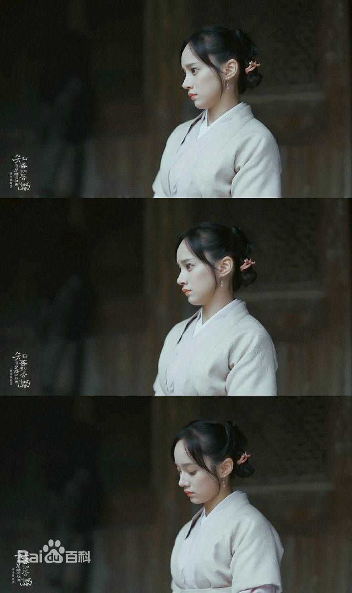 高清陆妍淇在《知否》小蝶中的图集