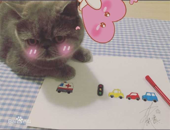 最全陆妍淇壁纸