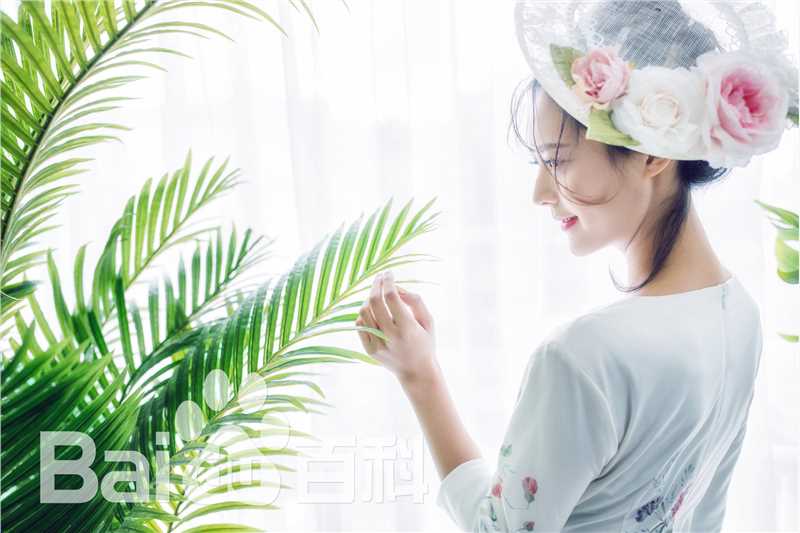 邹新宇高清夏日图集