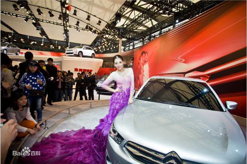 曹阳(Cao Yang)最全2012上海车展孔雀相册