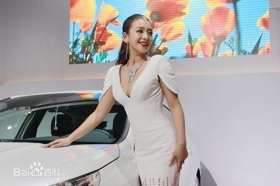 曹阳(Cao Yang)第八届长沙国际车展前后照片