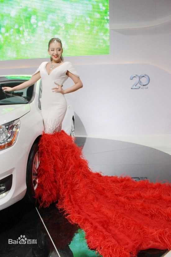 曹阳(Cao Yang)第八届长沙国际车展前后照片