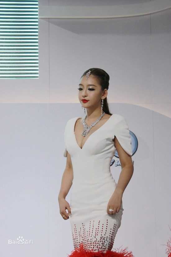 曹阳(Cao Yang)第八届长沙国际车展前后照片