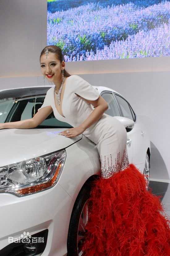 曹阳(Cao Yang)第八届长沙国际车展前后照片