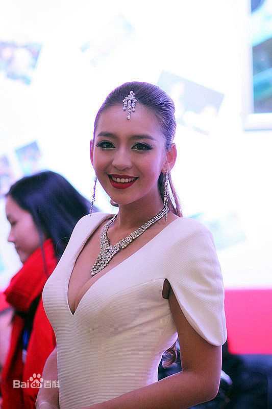 曹阳(Cao Yang)第八届长沙国际车展前后照片