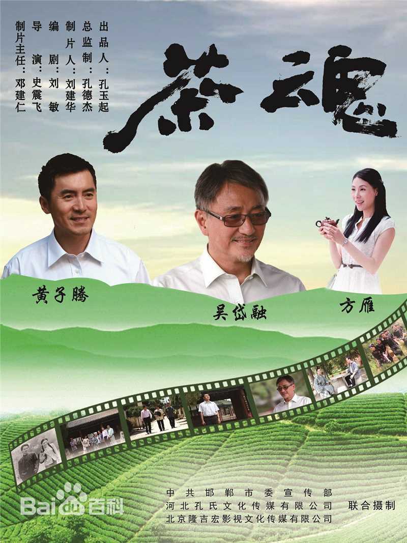 史震飞导演工作照图片图册