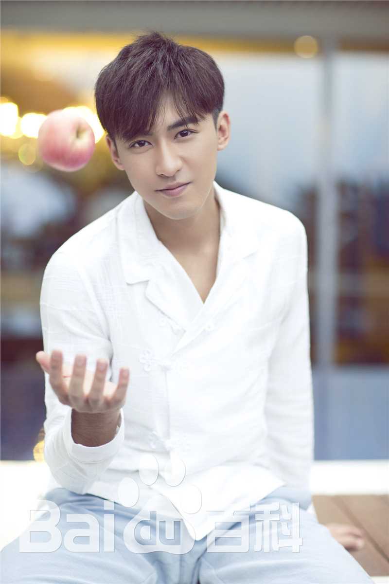 李柏谊精选宣传图册