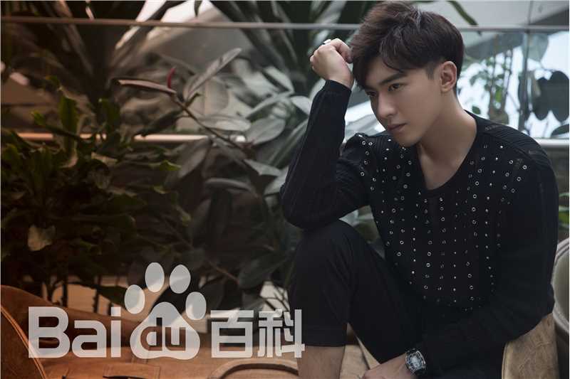 李柏谊精选宣传图册