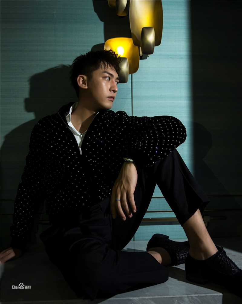 李柏谊精选宣传图册